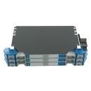 morepic-1